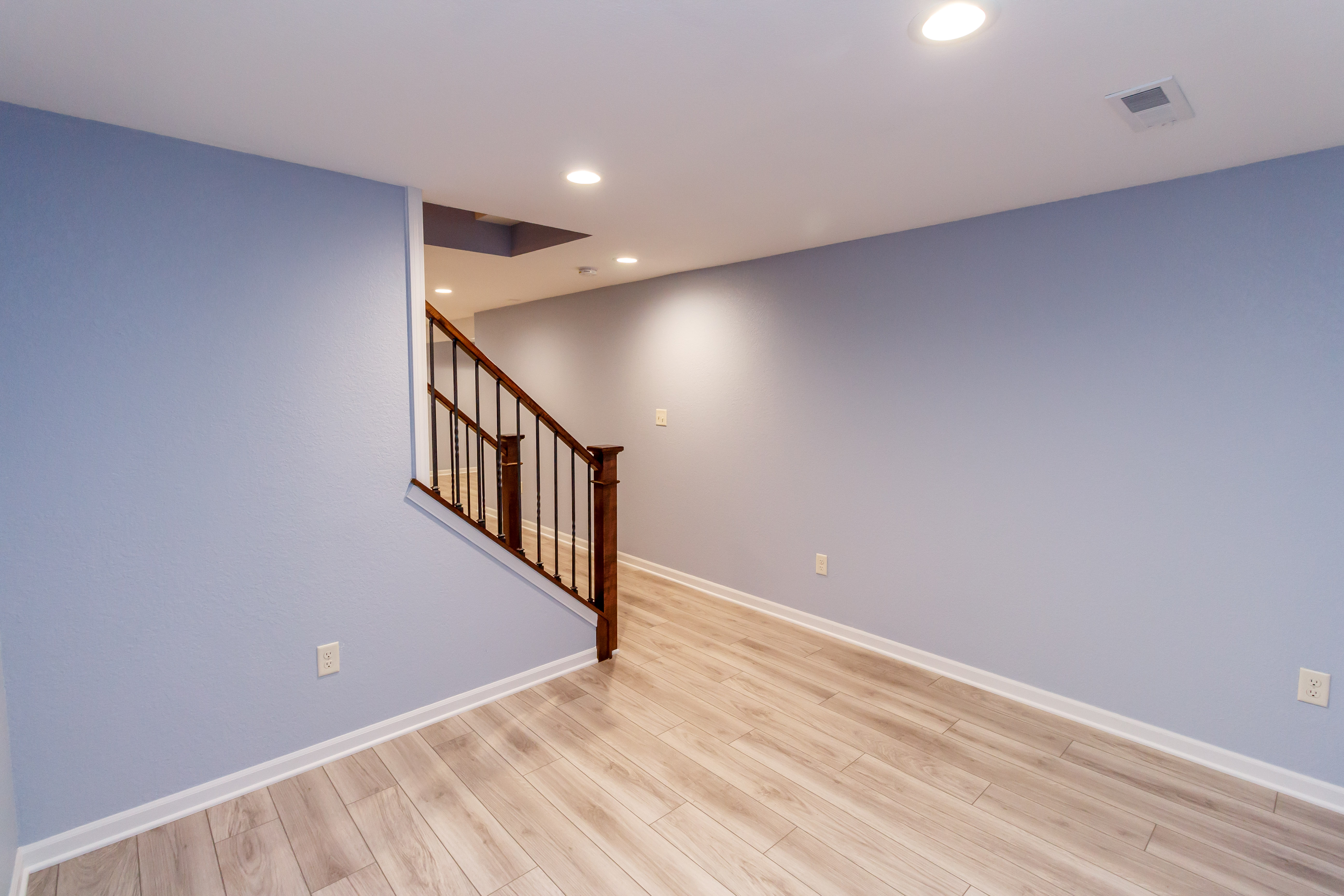 Basement Build Out & Master Bathroom Remodel